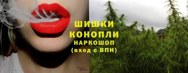стафф Армянск