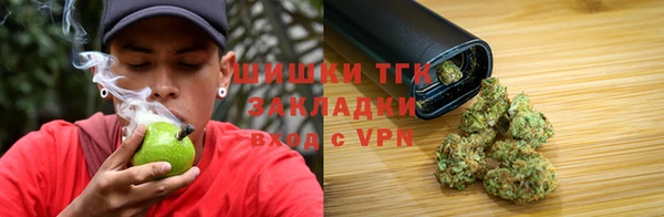 индика Аркадак