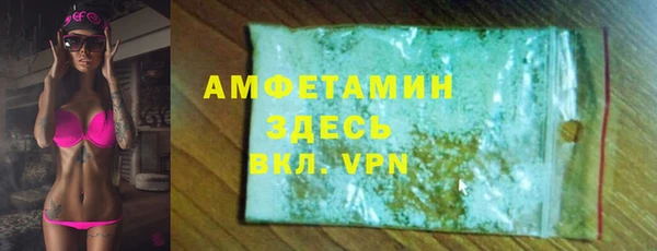индика Аркадак