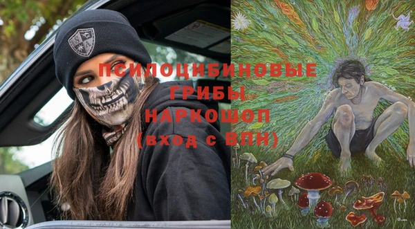 ПСИЛОЦИБИНОВЫЕ ГРИБЫ Балабаново